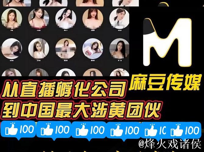 深度解析国产麻豆果冻传媒的崛起与发展