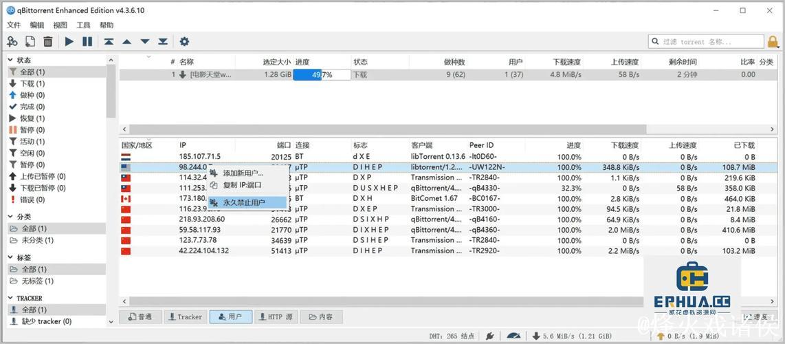 磁力蜘蛛种子搜索工具推荐与使用指南